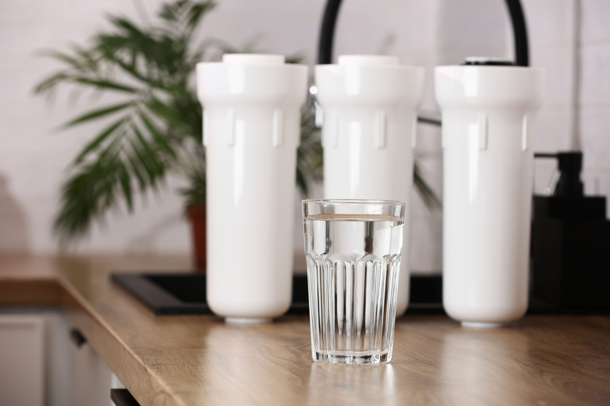 Osmose Wasserfilter_Glas_Wasser_aus_einer_guten_Quelle